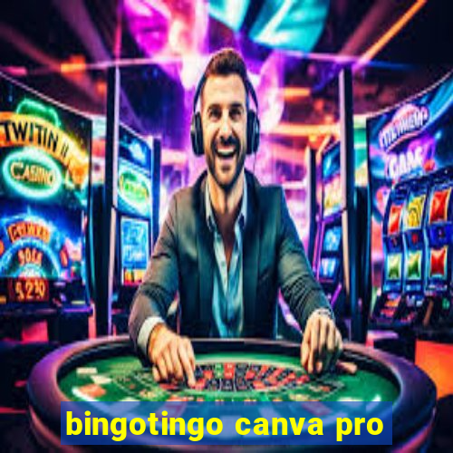 bingotingo canva pro